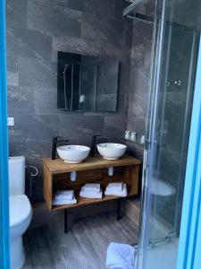 a bathroom with two sinks and a shower at Hotel Le Colibri in Aix-les-Bains