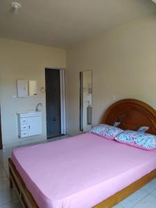 a bedroom with a large bed with pink sheets at RECANTO BUSCAPE in Alto Caparao