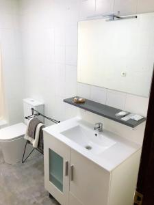 ein Badezimmer mit einem Waschbecken, einem Spiegel und einem WC in der Unterkunft Tranquilidad al lado del Centro Parking incluido in Oviedo