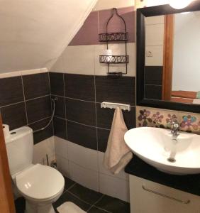 a bathroom with a toilet and a sink at Pitypang Apartman in Gyula