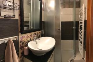 La salle de bains est pourvue d'un lavabo et d'une douche. dans l'établissement Pitypang Apartman, à Gyula