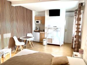 TV a/nebo společenská místnost v ubytování Manoir Du Parc (Adults only)