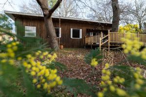 a log cabin with a porch and a tree at LA PETITE MAISON DU LAC in Biscarrosse