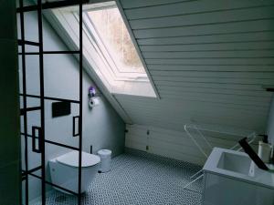 une salle de bains mansardée avec des toilettes et une lucarne. dans l'établissement Apartamenty TRZY PTAKI, à Wisła