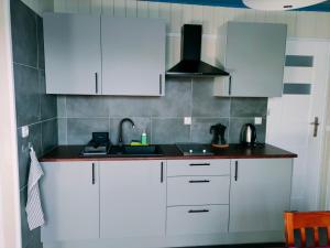 Kuchyň nebo kuchyňský kout v ubytování Apartamenty TRZY PTAKI