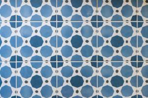 FRANKA في تروغير: أرضية من البلاط الأزرق والأبيض في الحمام