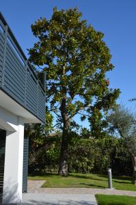 Zahrada ubytování B&B Fior di Magnolia