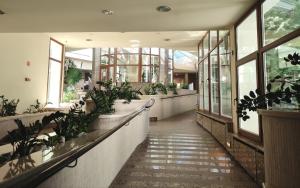 Vonkajšia záhrada v ubytovaní Spa Residence Carbona Siesta Apartman