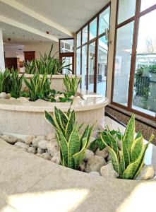 Fotografia z galérie ubytovania Spa Residence Carbona Siesta Apartman v destinácii Hévíz
