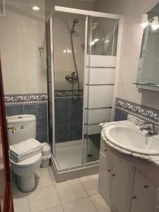W łazience znajduje się prysznic, toaleta i umywalka. w obiekcie Pensión San Vicente w mieście San Vicente de la Sonsierra