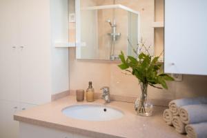 Koupelna v ubytování Apt GioAn Novigrad, 500m to Sea, private heated Jacuzzi, BBQ, private parking