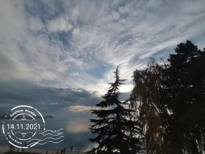 un árbol delante de un cielo nublado con una señal en Villa Marija, en Ohrid