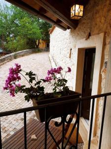 Balcone o terrazza di Alloggio Agrituristico Abruzzomio - Casa Somarello