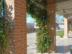 a brick pillar with a green ivy growing on it at RossoMattone CountryHouse in Sulmona