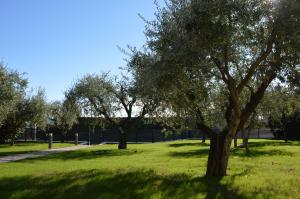 Fotografie z fotogalerie ubytování B&B Fior di Magnolia v destinaci Moniga