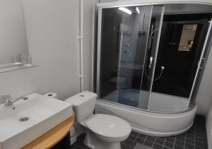 uma casa de banho com um WC, um chuveiro e um lavatório. em Hotel 24 - Karihaara - Kemi em Kemi