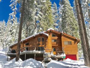 a log cabin in the woods in the snow at Yosemite Crossroads in Yosemite West