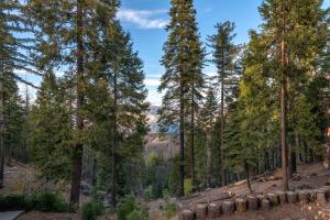 Gallery image of Yosemite Aviary in Yosemite West