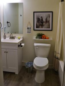 a bathroom with a toilet and a sink and a mirror at Sevier River Farmhouse 3 in Hatch
