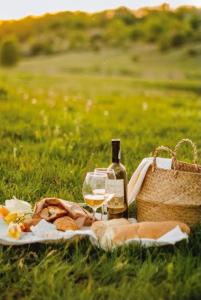 un picnic con una bottiglia di vino e un cesto di Eildon Parkview Motor Inn Room 5 a Eildon