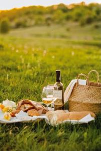 a picnic with a bottle of wine and a basket at Eildon Parkview Motor Inn Room 9 in Eildon