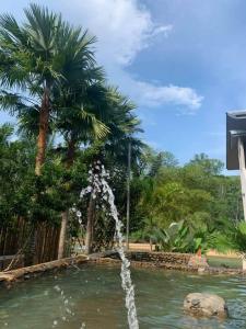 a fountain in the middle of a pond with palm trees at RIVERSIDE PALM INN SG LEMBING in Sungai Lembing