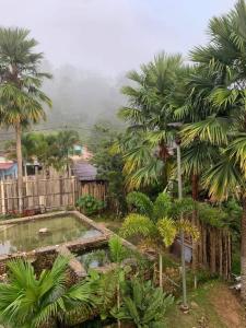 a view of a garden with palm trees and a pool at RIVERSIDE PALM INN SG LEMBING in Sungai Lembing