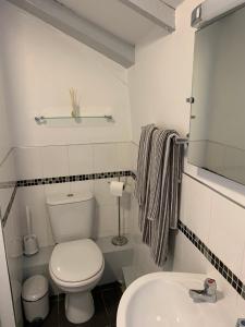 a white bathroom with a toilet and a sink at Byre Cottages & Log Cabin in Cardigan