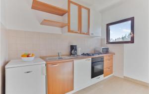 Kuchyň nebo kuchyňský kout v ubytování 1 Bedroom Lovely Apartment In Petrcane
