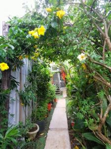 Jardín al aire libre en Cozy Sudio#1, 5min Beach & 1 hour Liberia Int ARPTO