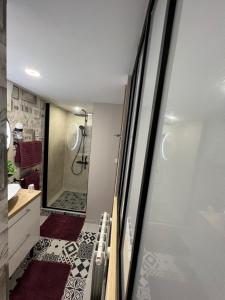 a bathroom with a walk in shower next to a sink at Chambre D'hôte Villa Maurice in Étretat