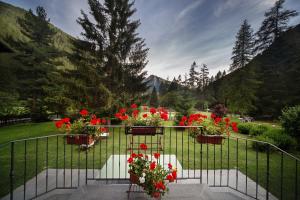 Albergo Monte Cervino في تشامبولوك: حديقة بها زهور حمراء في الأواني على السياج