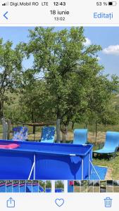 una mesa azul y dos sillas sentadas junto a un campo en Casa Gia, en Bălnaca