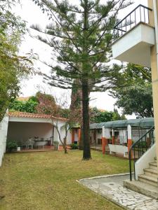 un arbre dans la cour d'une maison dans l'établissement Botanique Guesthouse, à Cascais