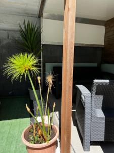 Posezení v ubytování L'améthyste - Bungalow de charme