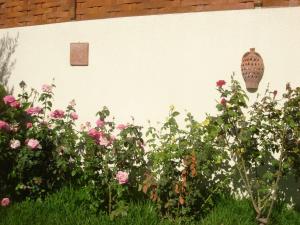 
a garden with flowers and plants in front of a building at Barbara Studios & Apartments in Svoronata
