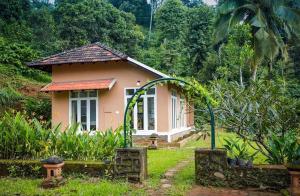 Zahrada ubytování After the Rains - Rainforest Lodge