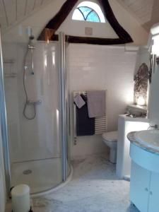a bathroom with a shower and a toilet and a sink at Ferienhaus Rosengarten in Loxstedt
