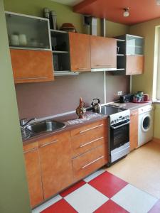 a small kitchen with a sink and a stove at Prie Masčio ežero in Telšiai