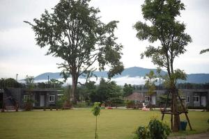a large field with two trees and a building at 4 Corner Khaoyai in Mu Si