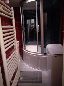 eine Person, die ein Foto von einem Bad mit Dusche macht in der Unterkunft Vittel location meublé in Vittel