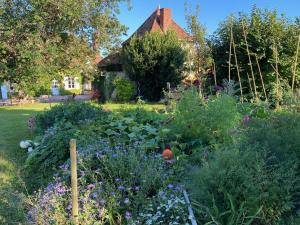 einen Garten vor einem Haus in der Unterkunft Le brûlon in Bourg-le-Comte