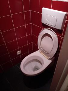 ヴィッテルにあるVittel location meubléの赤いタイル張りのバスルーム(屋台のトイレ付)