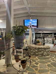 a living room with a tv and a fireplace at Diaporos Hotel in Vourvourou