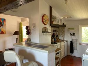 O bucătărie sau chicinetă la La bastide de Mauragne - Gîte les Iris