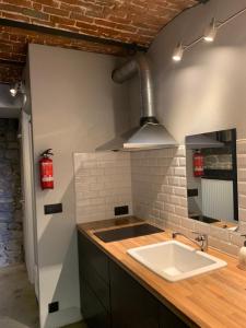 uma cozinha com um lavatório e uma parede de tijolos em Dailly studio em Dailly