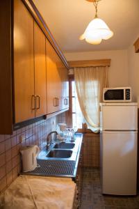 A kitchen or kitchenette at La Petri Studios with Fireplace & View