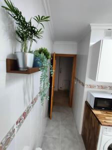un pasillo con plantas en la pared en una cocina en Tirwal Suite Judería, en Teruel