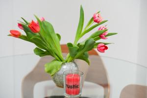 Fotografie z fotogalerie ubytování Split Old Town Apartment ve Splitu