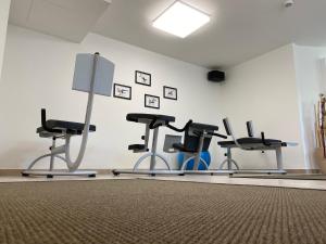 Palestra o centro fitness di Hotel Garni Toscanina - Adults Only